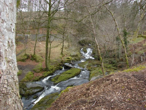potok w Wicklow Mountains