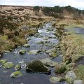 potok w Wicklow Mountains