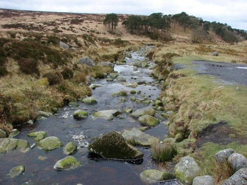 potok w Wicklow Mountains