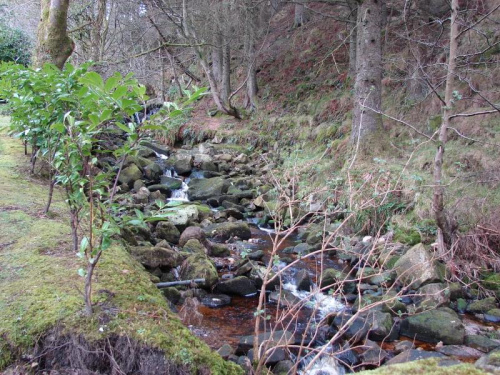 dolina Glencree w Wicklow Mountains