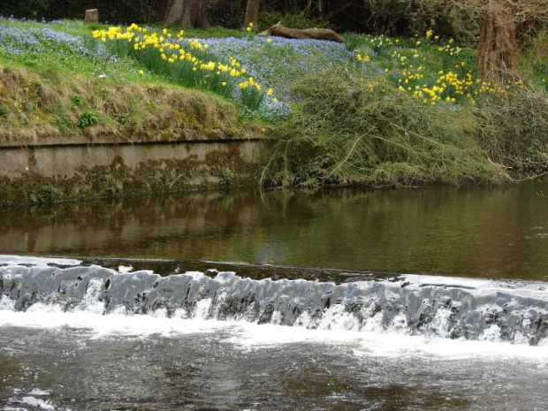 Mount Usher Gardens