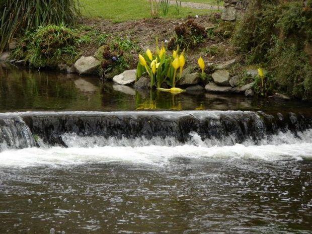 Mount Usher Gardens