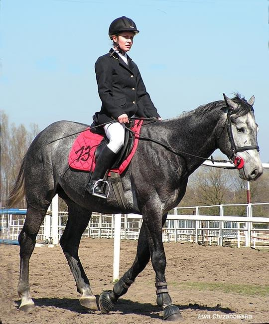 Halowe Zawody w Stodołach 30.03.2008