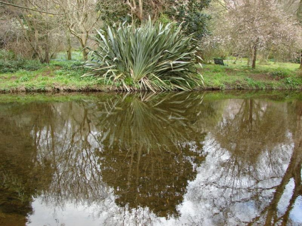 Mount Usher Gardens