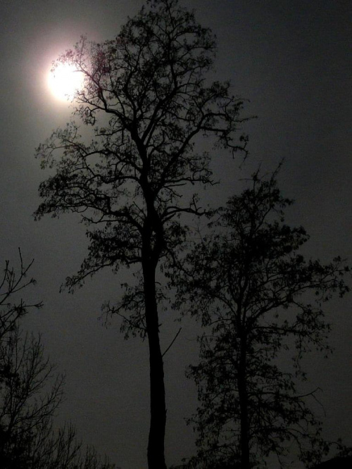 księżycowa noc ;) #księżyc #noc