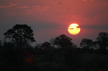 Botswana,Delta Okavango #DeltaOkavango #Afryka #Botswana #ZachodSlonca