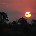 Botswana,Delta Okavango #DeltaOkavango #Afryka #Botswana #ZachodSlonca