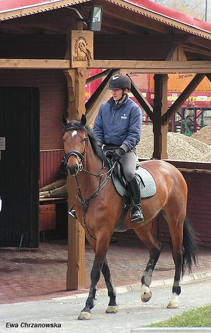 08.04.2008 Łomnica II trening i konie na padoku