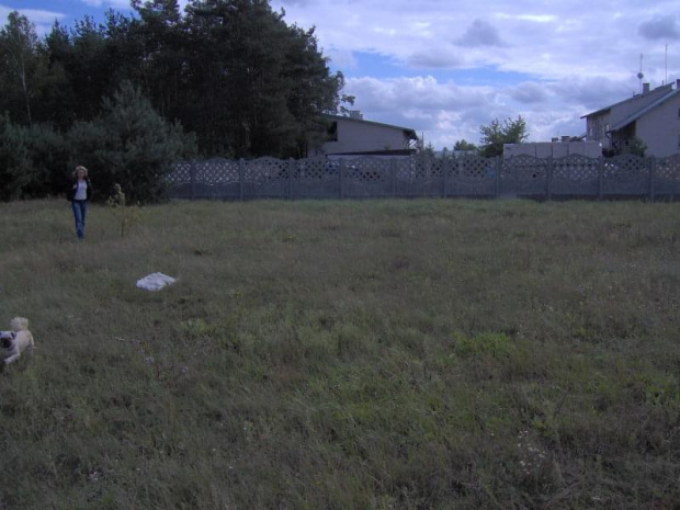 Pole, łyse pole. Tak to sie zaczęło.