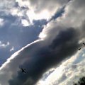 ptak jakiś xp #ptak #chmury #niebo #ladne