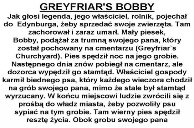 wzruszająca wierność - legenda milczy ile kpniakow zebrał Bobby za życia swego pana...