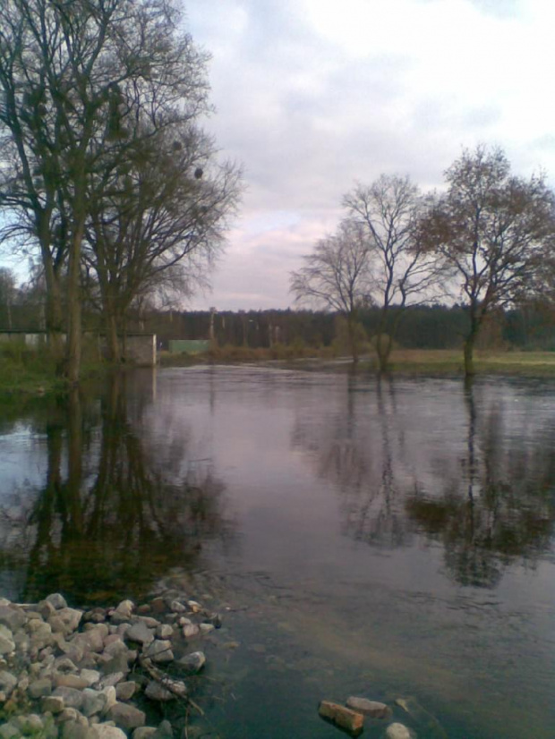 komórkowa ina:)