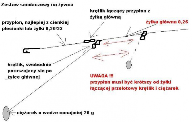 zestaw na sandacza