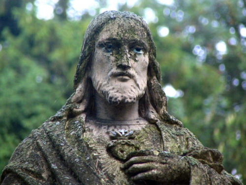 Chrystus z twarzą spękaną #cmentarz #przemyśl #chrystus #jezus #figura #twarz