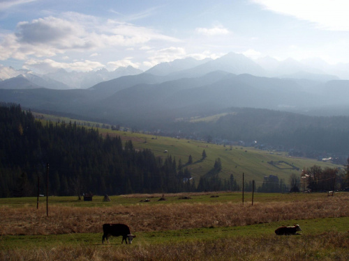 zakopane