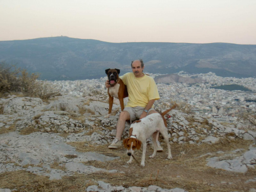 Spotkane na Wzgórzu Nimf w Atenach. #psy