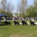 BYŁO SUUUUUPEEEER :))))