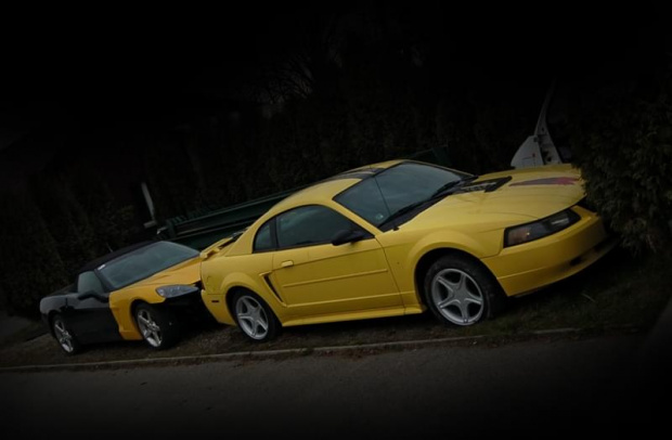 C6 & GT #corvette #mustang #ford #cabrio