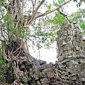 Ta Prohm