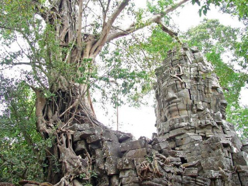 Ta Prohm