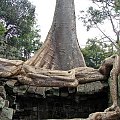 Ta Prohm