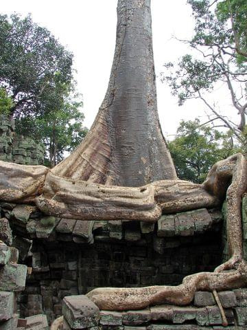 Ta Prohm