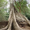 Ta Prohm