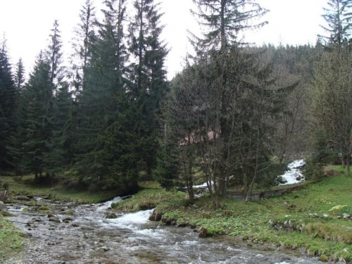 Pawełek i Jasio w Krakowie i Tatrach-maj 2008 z Agatką i Adasiem