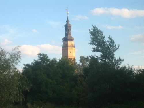 Głogów Ratusz