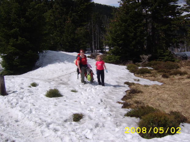 Karkonosze w maju