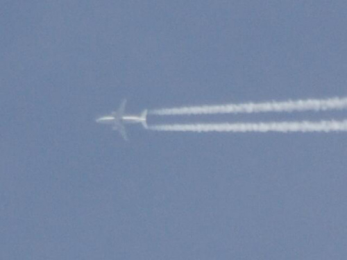 Lufthansa, B737