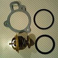 termostat - Seat Ibiza 021A