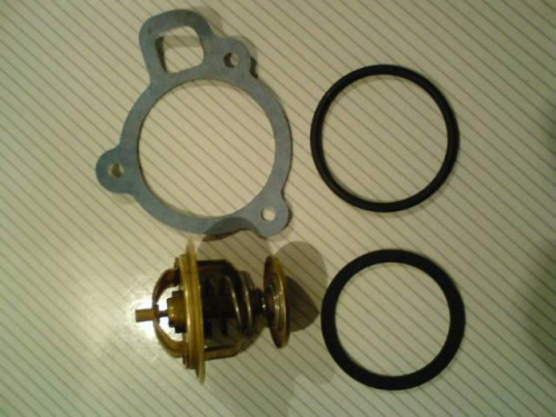 termostat - Seat Ibiza 021A