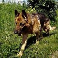 ONek Kiro maj20008r