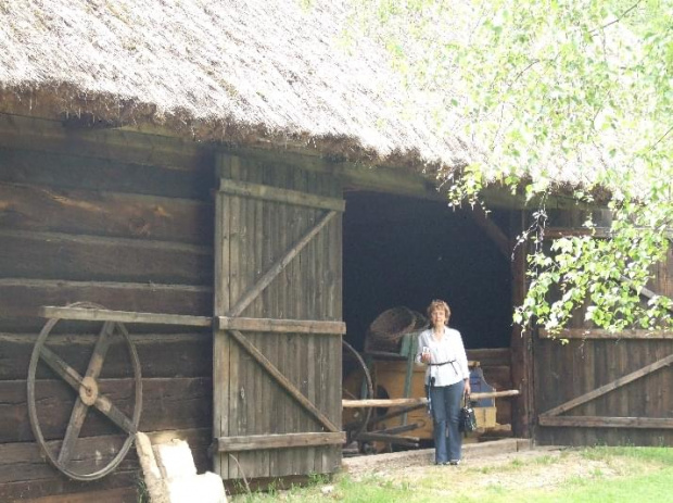 Wolsztyn 2008 Skansen