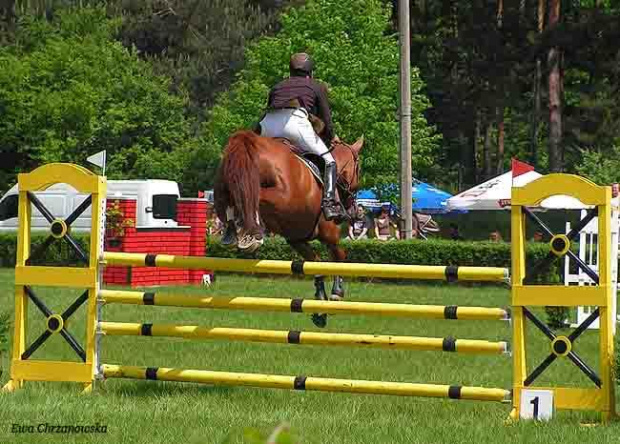 17.05.2008 Zawody w Stodołach