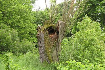 Janowiec i okolice #Janowiec