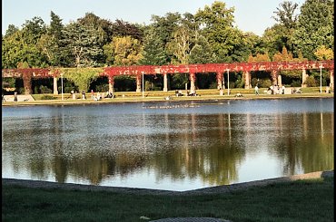 #HalaLudowa #Pergola #Wrocław