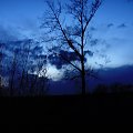 Niebiańskie niebo... W natchnieniu nocy... #drzewo #topola #niebo #pejzaż #widok #horyzont