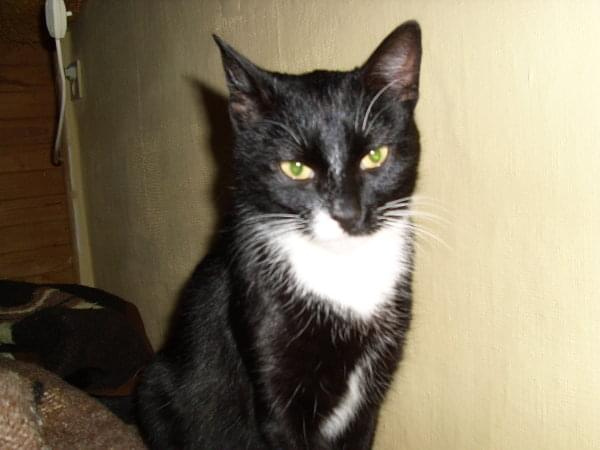 a ja jestem Malwinka...