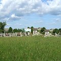 Cmentarz Sokolniki parafia Sokolniki/Gniezno #cmentarz