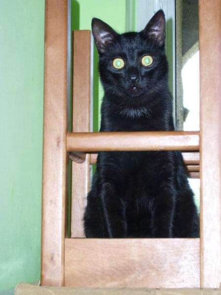 Taborecik