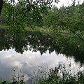 #LasyJanowskie #jezioro #woda