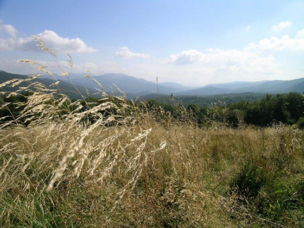 #Bieszczady #góry #widok #trawy