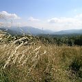 #Bieszczady #góry #widok #trawy