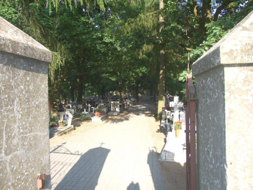 Dąbrówka Kościelna cmentarz #cmentarze