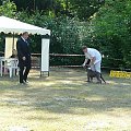 Wystawa Międzynarodowa Szczecin