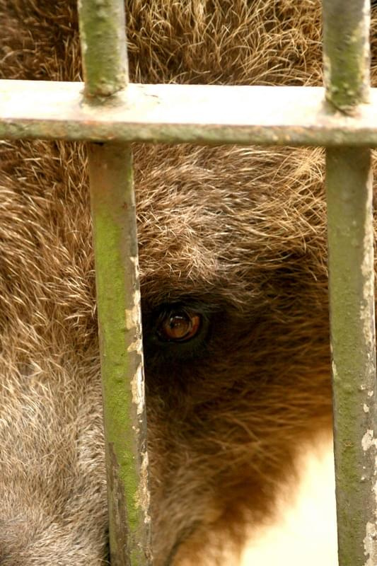 bydgoszcz zoo