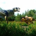 Turanozaur i Triceratops #dinozaury #tyranozaur #triceratops
