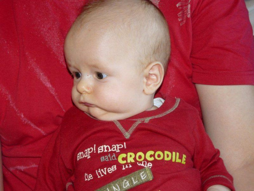 jak długo mam czekać na jedzonko????????? #WDomciu